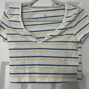 PacSun Crop TShirt